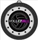 Volleyball Medal