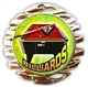 Billiards (Pool) Medal