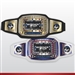 Champion Award Belt for Science