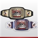 Champion Award Belt for Wrestling
