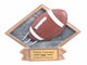 Football Sculpted Resin Trophy