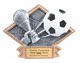 Soccer Sculpted Resin Trophy