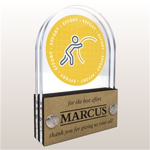 Double Pane Acrylic Effort Trophy Award