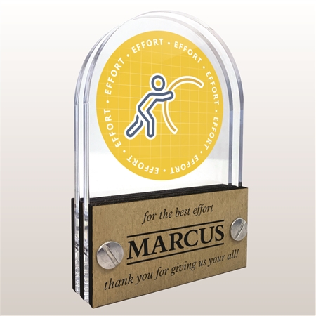 Double Pane Acrylic Effort Trophy Award
