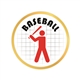 Baseball Pin