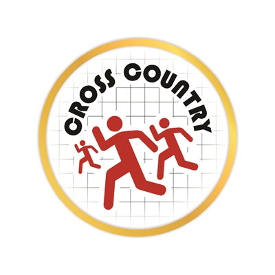 Cross Country Pin