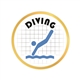 Diving Pin
