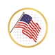 American Flag Pin