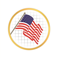 American Flag Pin