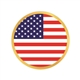 American Flag Pin