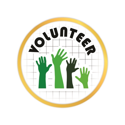 Volunteer Pin