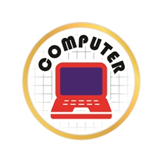 Computer Pin