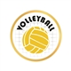 Volleyball Pin