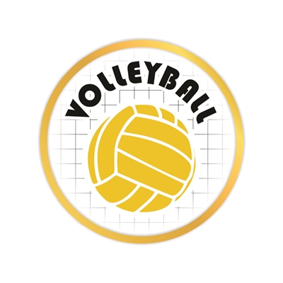 Volleyball Pin