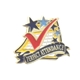 Perfect Attendance Pin