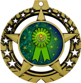 Participant Medal
