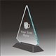 Pop-Peak beer acrylic award