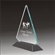 Pop-Peak martial arts acrylic award