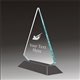 Pop-Peak shooting acrylic award
