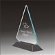 Pop-Peak swimming acrylic award