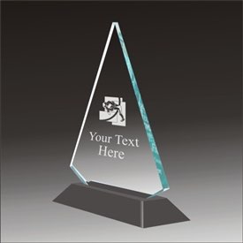 Pop-Peak wrestling acrylic award
