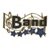 Band Pin