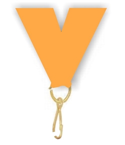 Neon Orange Snap Clip "V" Neck Medal Ribbon