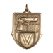 Pistol Shooting Medal