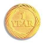 One Year Service Pin
