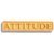 Attitude Pin