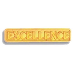Excellence Pin