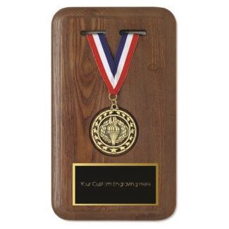 patent plaque - medallion - LS - presentation