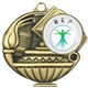 A & P Medal