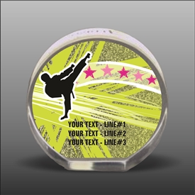 Full Color Printed Martial Arts Acrylic Award
