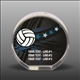 Full Color Printed Volleyball Acrylic Award