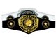 Champion Belt | Award Belt for Softball