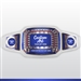 Champion Belt | Award Belt for Customization