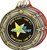 Star Performer Medal