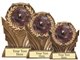 Debate Resin Trophy