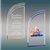 Wave Acrylic Award with Custom Laser Engraving and Full-Color Print