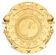 First Place Medal