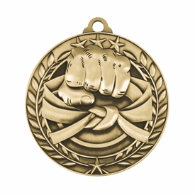 Martial Arts Medal